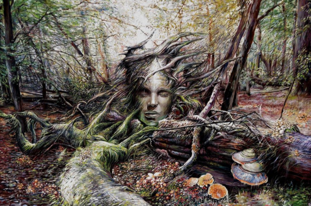 Ksiega puszczy Masjanis